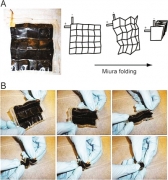 <b>ƌW_lܶۯBļ늳</b>