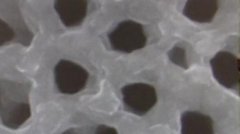 <b>ͼ{늳Q10犃ȳM</b>