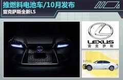 <b> ׿_˹ȫLS ȼ늳܇/10°l</b>