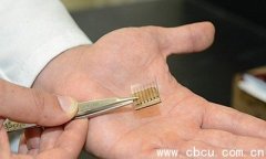 ˹̹W(xu)ɹƳȫ׉Kȫ̼̫늳