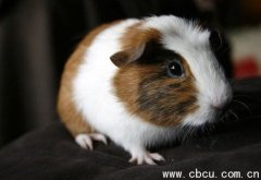 о΁׃늳 ɾSϵС͙C\