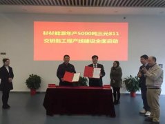 <b>ɼɼԴ2016?du)I11|Ԫ L261.31%</b>