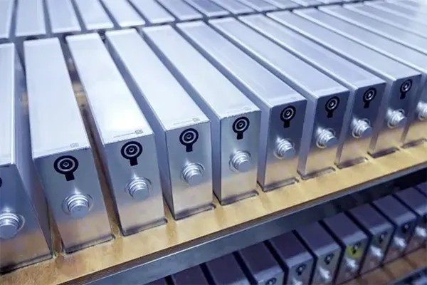 <b>ȫ̑B늳خaI٣·</b>