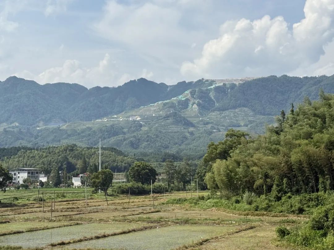 <b>r(sh)˴ĸV(zhn)r(sh)ͣa(chn)ҹɽأ</b>