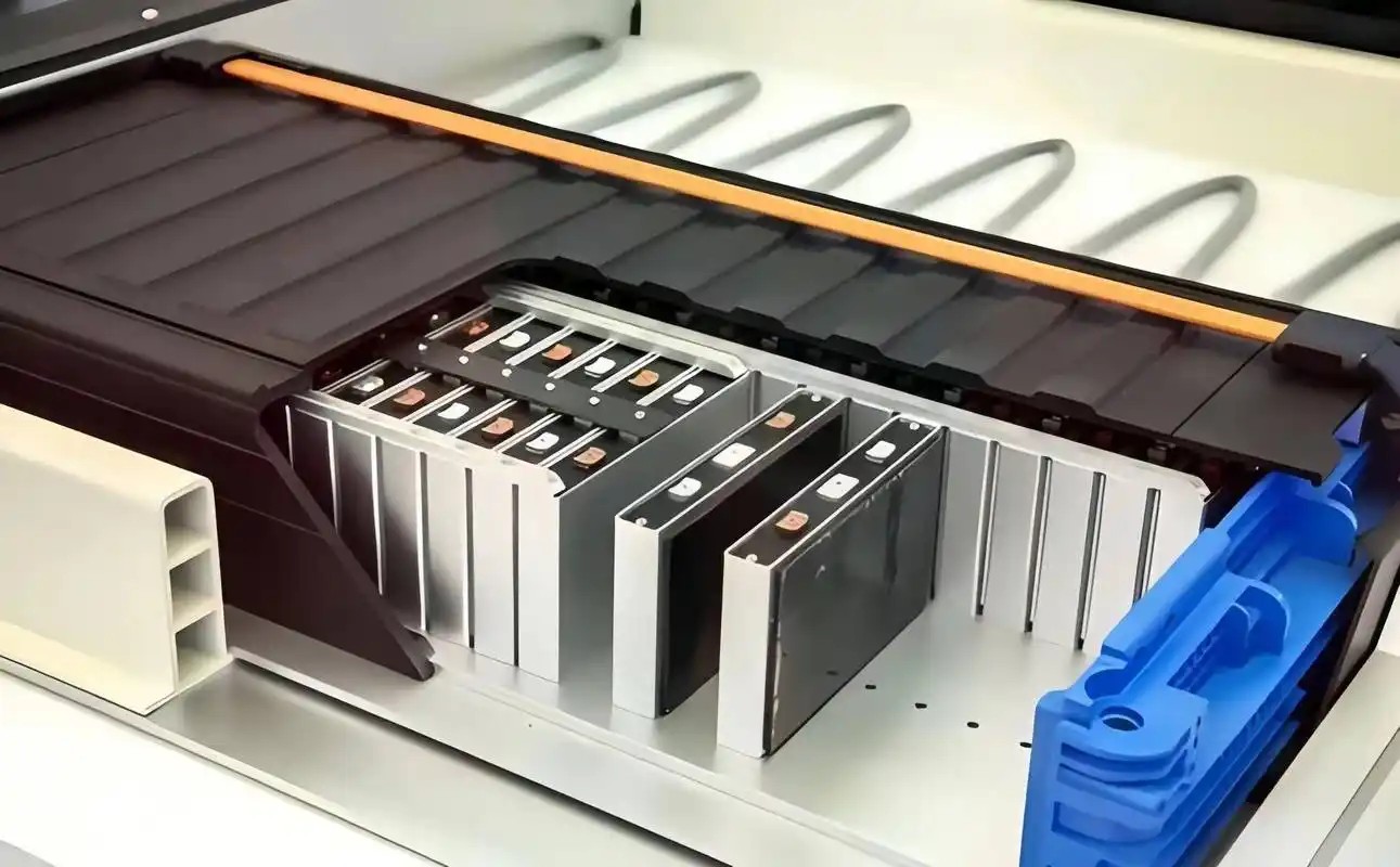 <b>̑B늳سɟcпԺڹ̑B늳زόFͻƣҹ˾͸¶̑B늳Mչ</b>